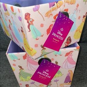 (3) Disney Princess Storage Bin set